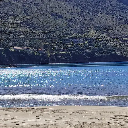 Kotrwnas Family Traditional Seaview